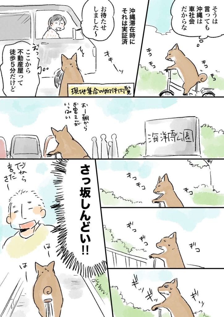 沖縄_041