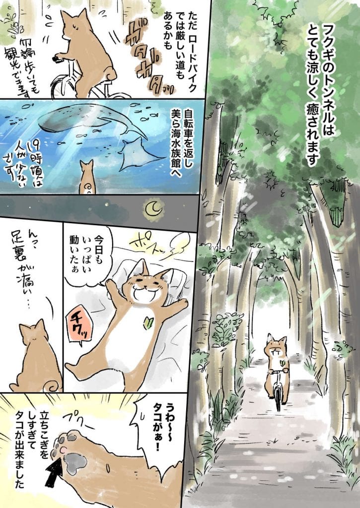 沖縄_049