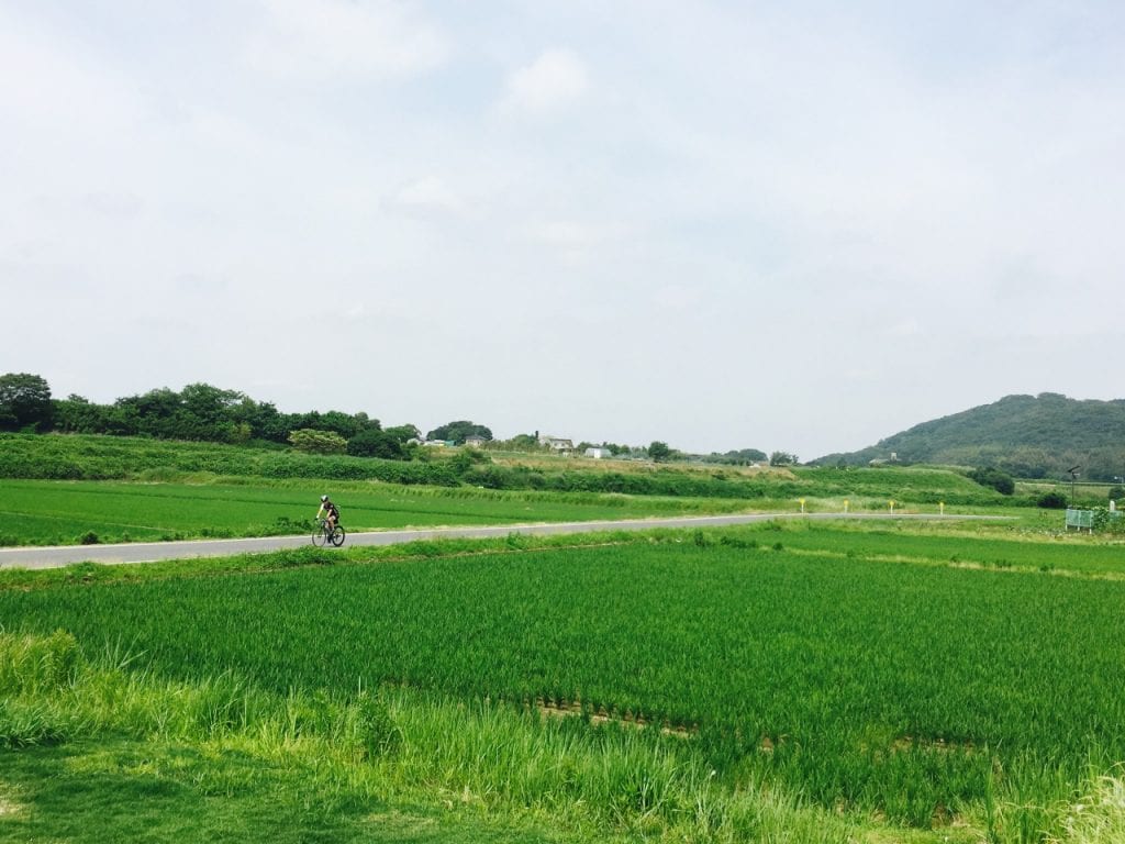 のどかな風景が広がる