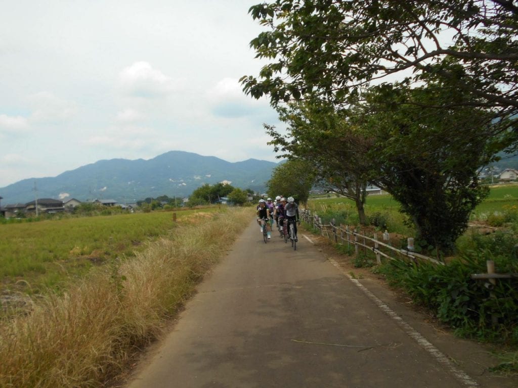 s_image (3)