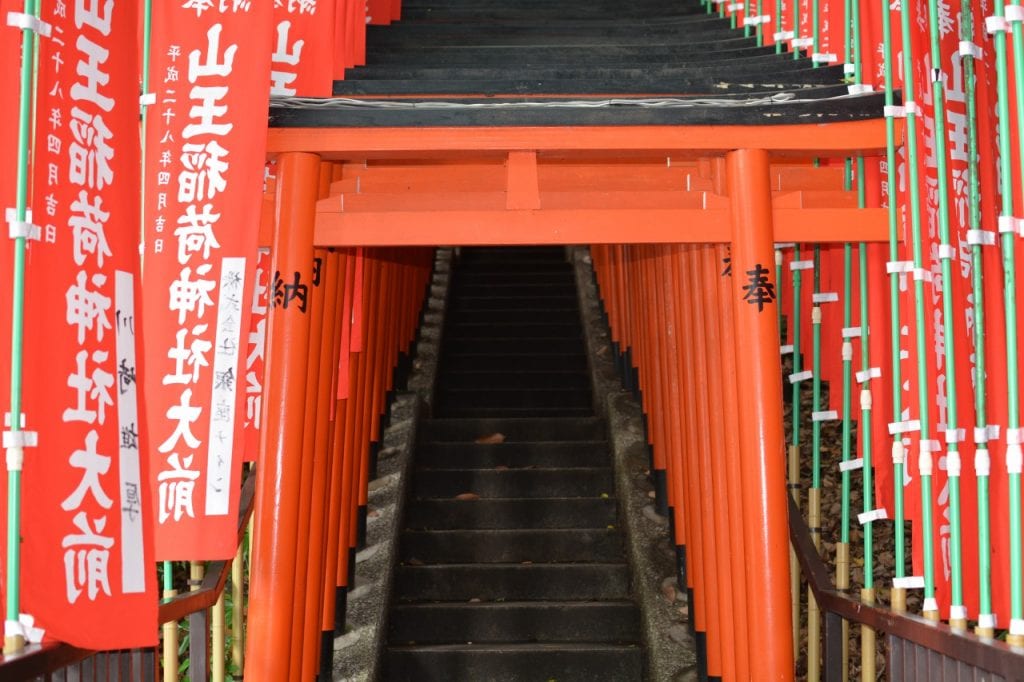 s_DSC_4649