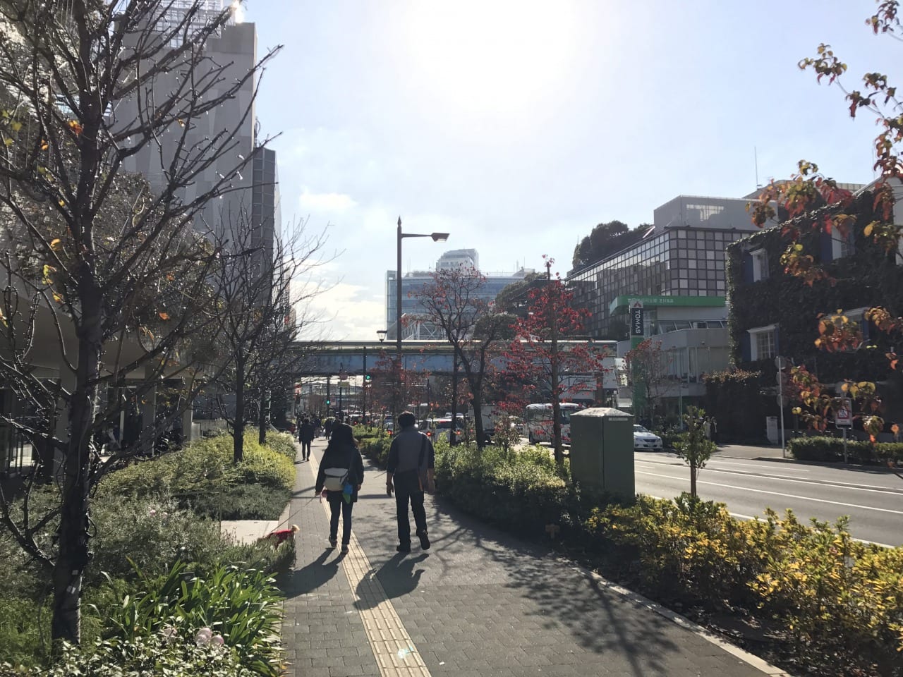 s_img_0541-min