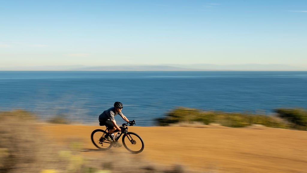 TREK　checkpoint　2021