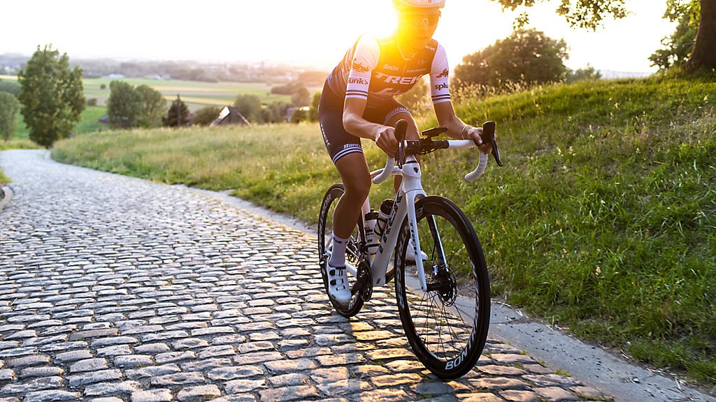 TREK　Domane　2021