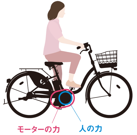車体の真ん中にモーターがある「センタードライブ方式」