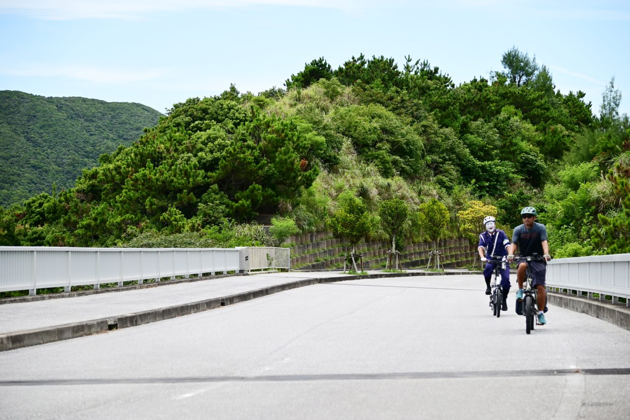軽快に坂道を登っていきます