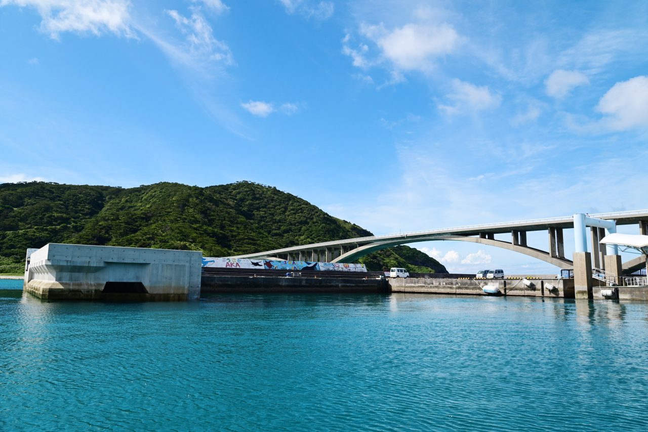 阿嘉(あか)島&慶留間(げるま)島はどんな島?