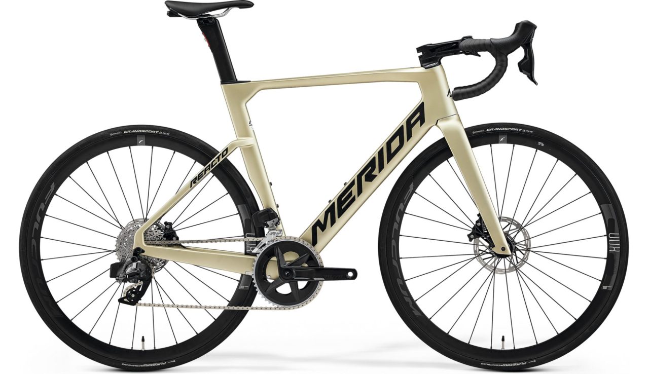 REACTO RIVAL-EDITION